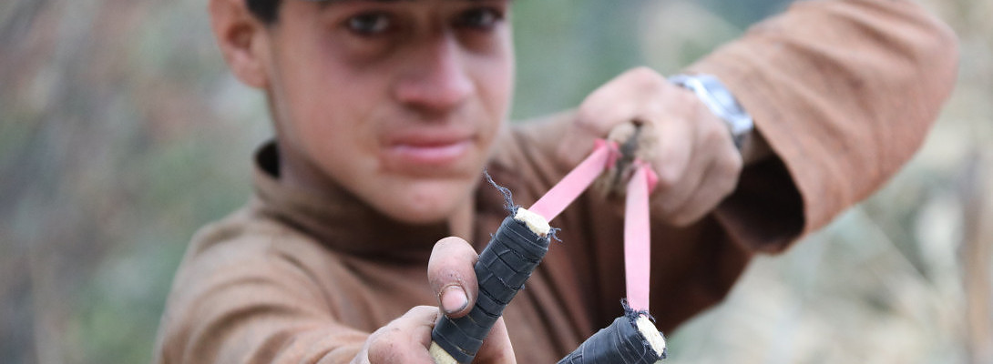 New Niche Interest: The Slingshot Zone!
