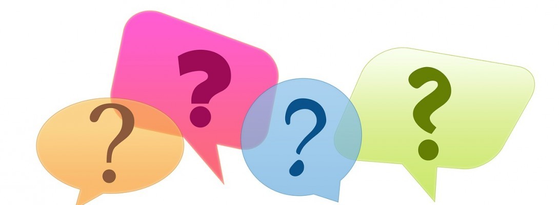 Are you wondering what I have been up to?