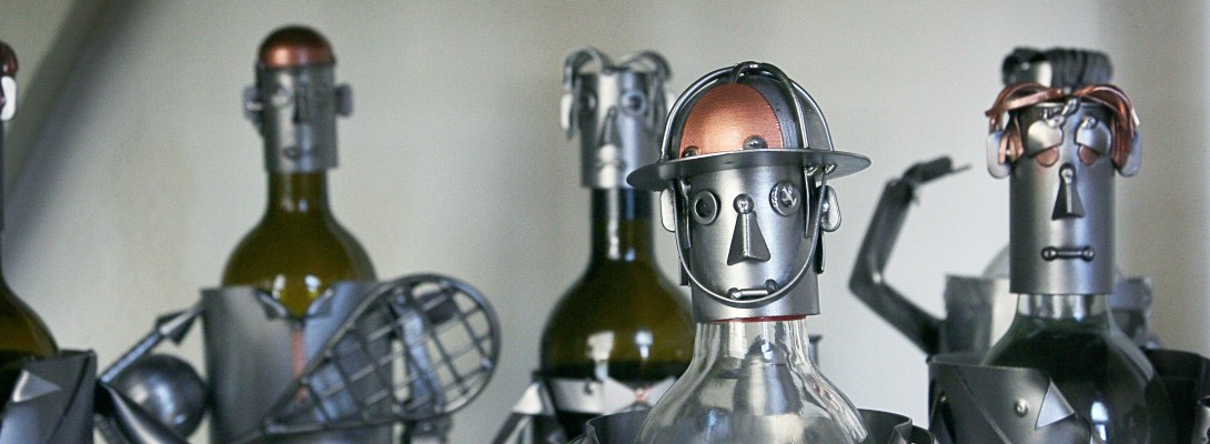 robot.txt Disallows on SiteRubix