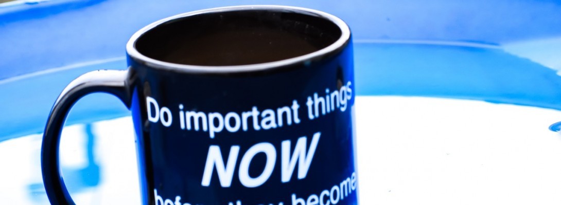 Whoa! Whoa There: Accomplishment and to do list! Say What?