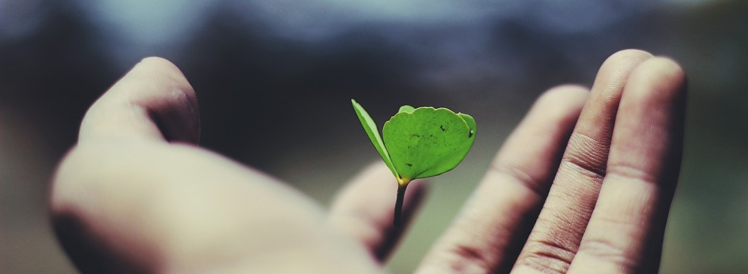 My Takeaways from 19 Months of Learning at Wealthy Affiliate