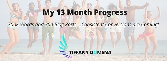 13 Month Progress Report: Consistent Conversions are Coming!