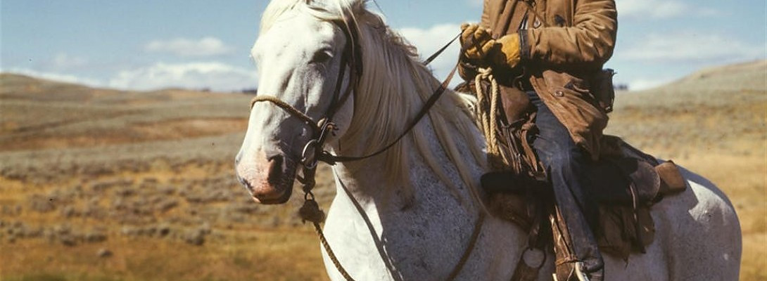 Back In The Saddle Again! Maybe, I Hope