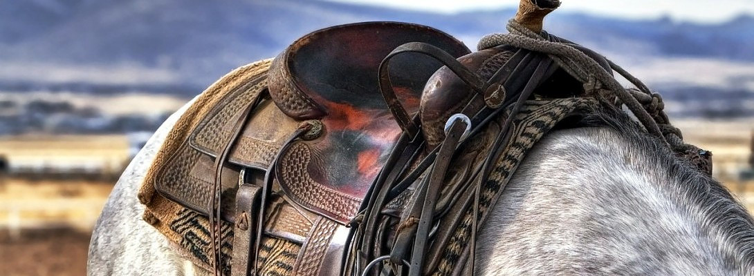 Hey Folks, Glad to be Back!