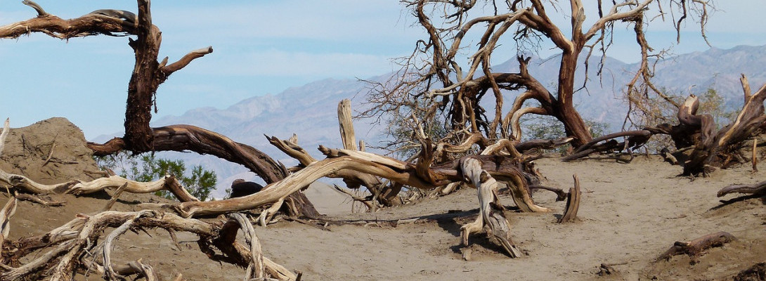 Mixed Emotions and PANIC