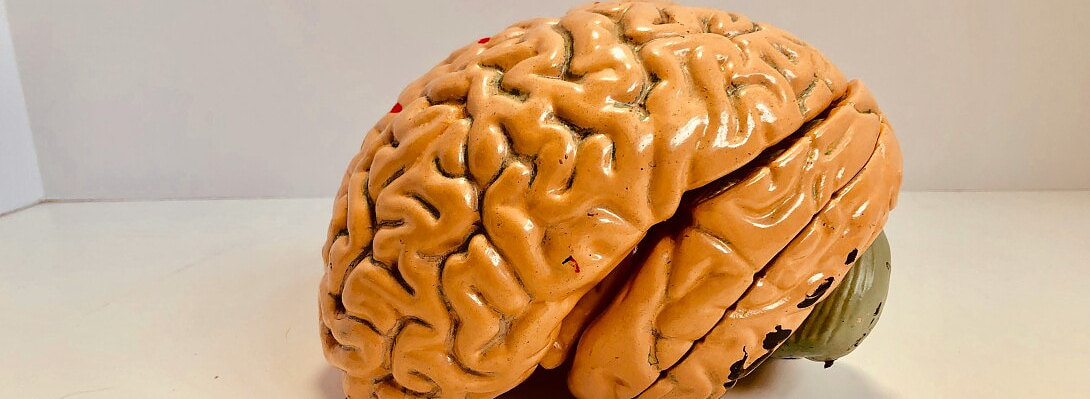 What Does Learning Do to the Mind?