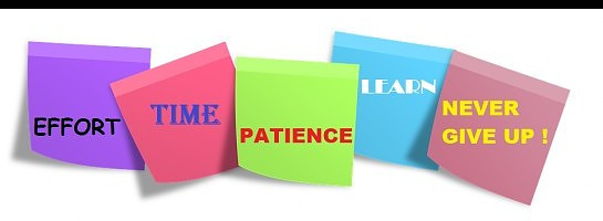 How YOU Can Succeed with Wealthy Affiliate From the Start !