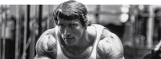 Arnold Schwarzenegger - "I am not afraid of failing, I can only fall 6 feet"