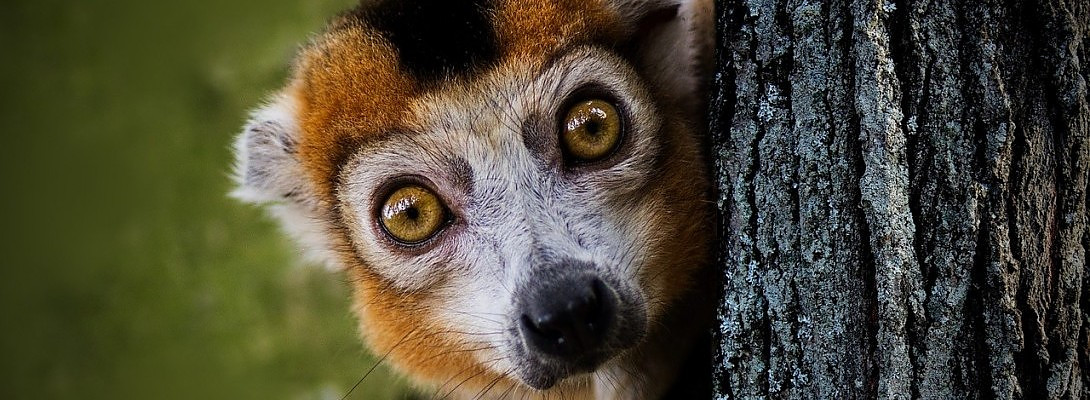 This Has Not Been a Good Day.