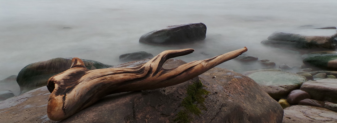 Sticks & Stones.and Puddles Full of Thoughts