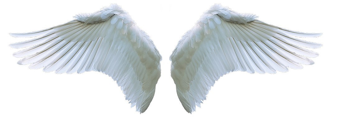 What.Angels Exist Here Inside Wealthy Affiliate?