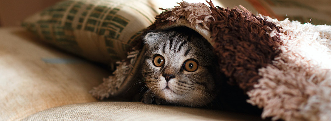 You Can't Hide On Social Media. Just Be Authentic!