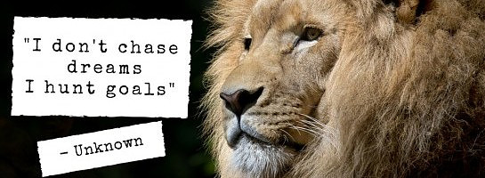 3 Month Progress Report