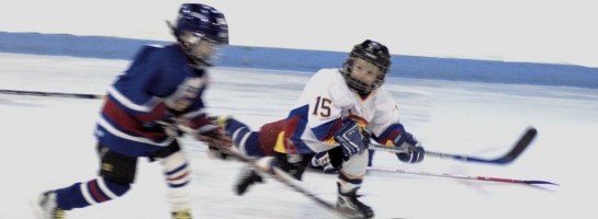 Go To Where The Puck Is Going To Be