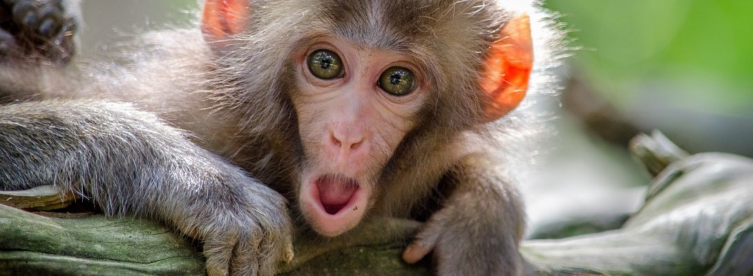 How WA Can Make You Up To $100K Without Your Site!