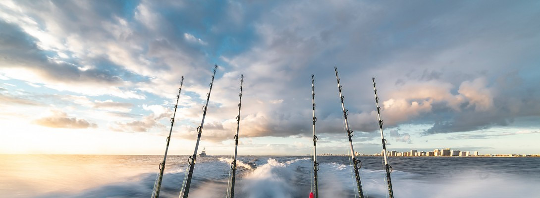 How do You Fish? Sardines or Wicked Tuna?