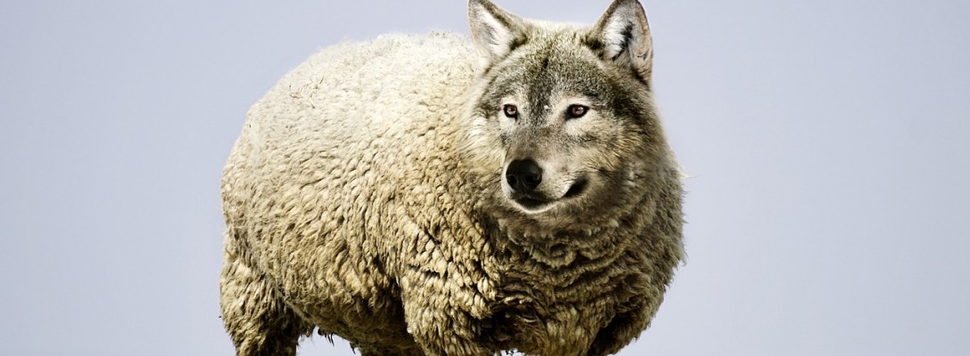 Sometimes you just don't know.