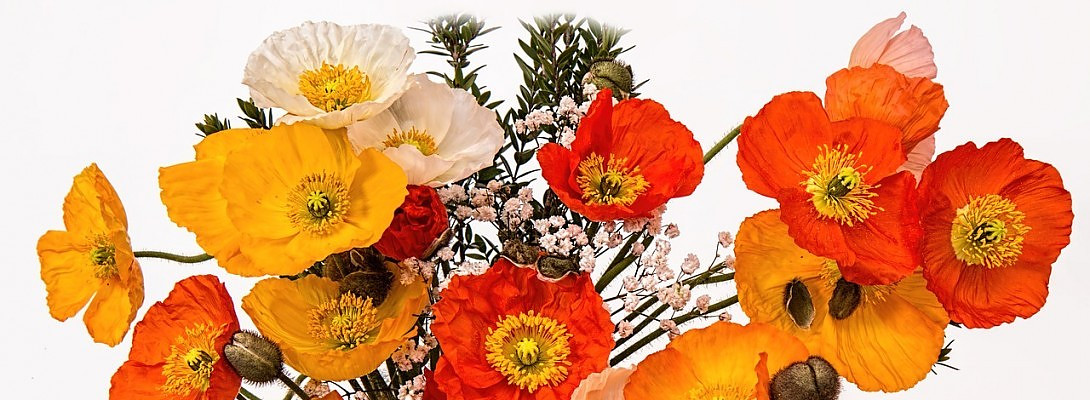 The Questions Just Keep On Coming!