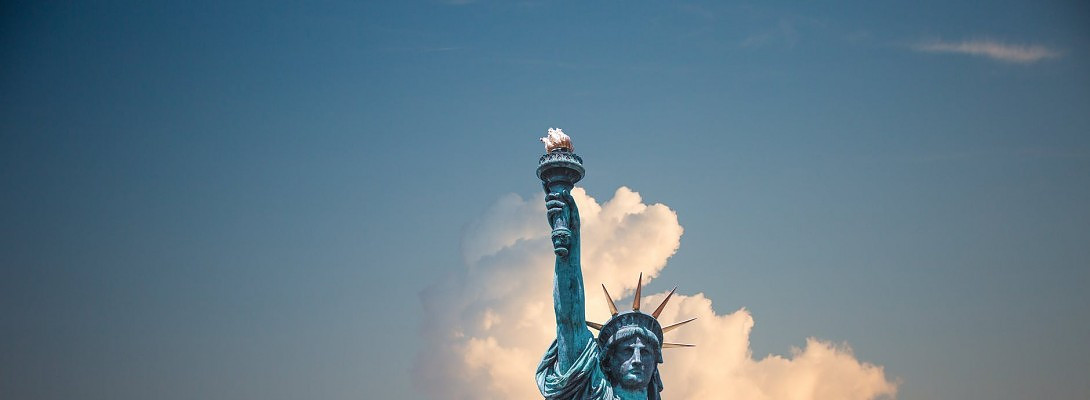 Cbd oil-and the ace hotel