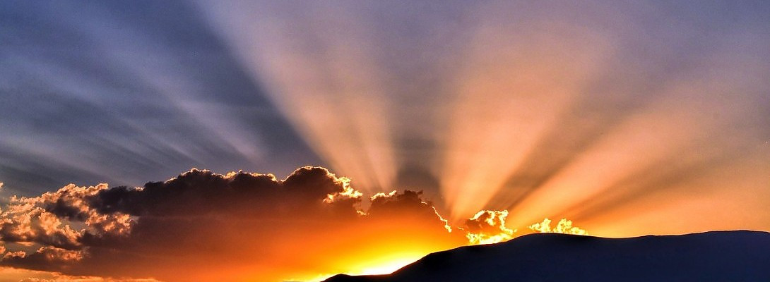 It has been 9 months already!