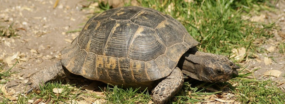 Moving on slowley but determined to get there.