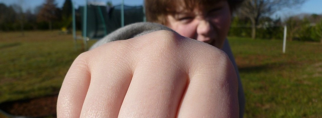 Is Your Child or Someone You Know A Bully?