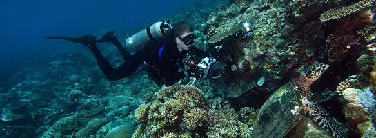 What use of social networking for a scuba diving equipment niche can be effective?