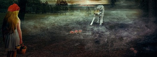 Red Riding Hood and the Wolf: Our Journey to Success