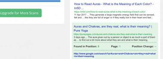 Ranking in the first page of google!