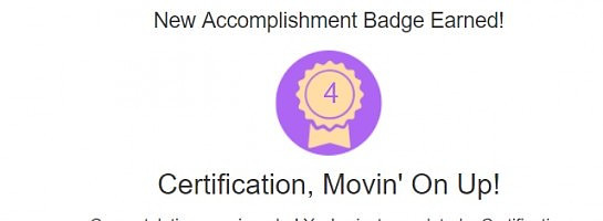 Level 4 Online Entrepreneur Certificate COMPLETE!