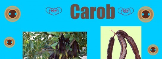 Carob