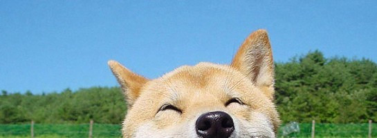 How are things going for you all?