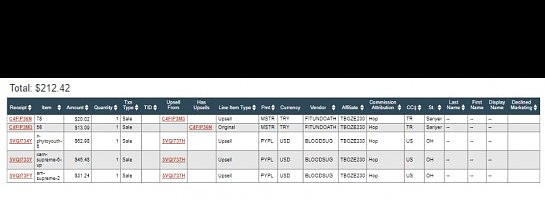 Earning consistently while I was on vacation-My website paid for my trip