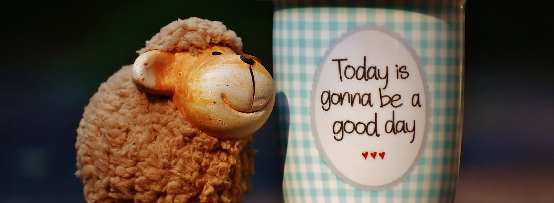 Second Site is Functional