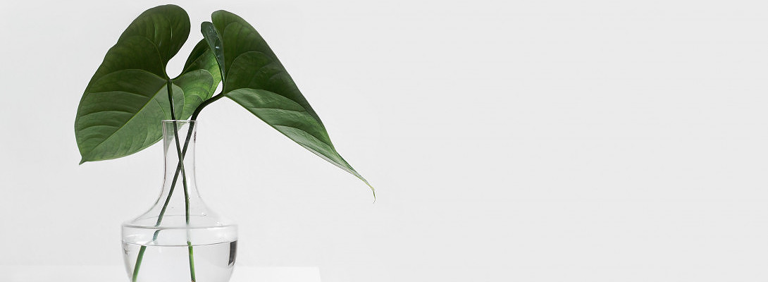 KISS. A new way of living!