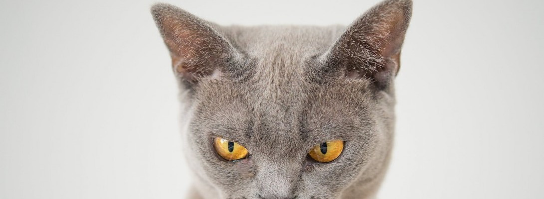 Don’t be an idiot like me.