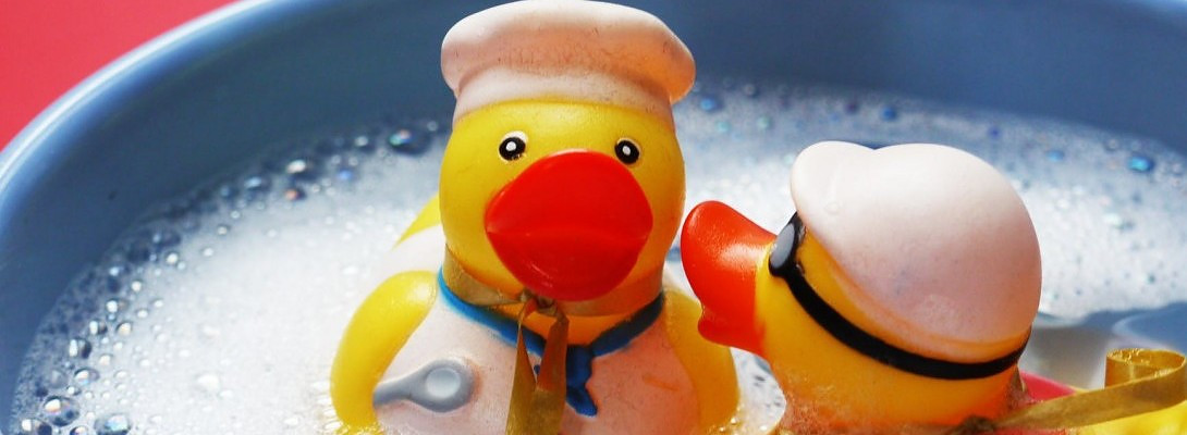 My Progress in a Bushell