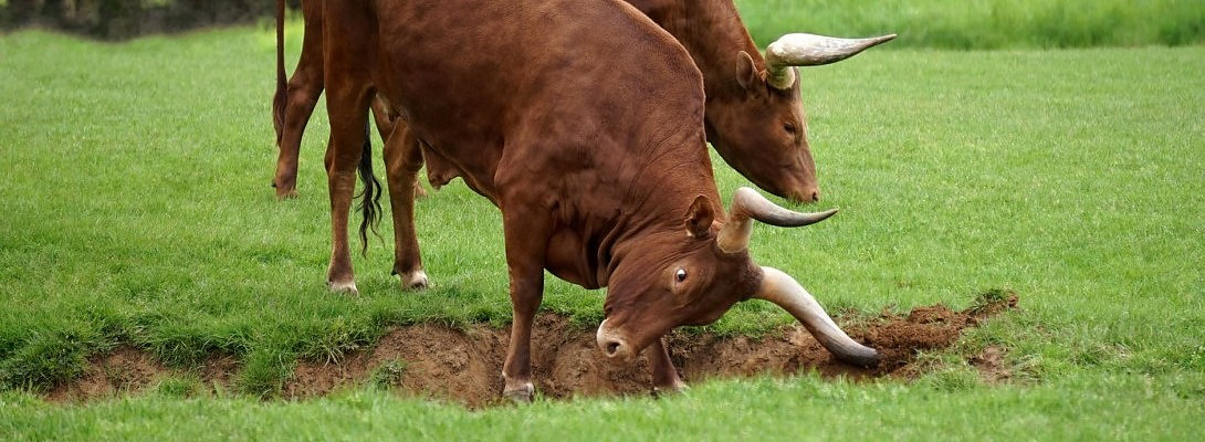 Can I Really Make Money Online and Other Doubts.