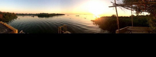 Overcoming blog fever as a newbie.