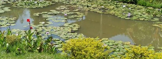 Am grateful to Wealthy affiliate