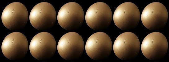 A Dozen Golden Eggs to Share