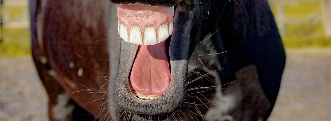 woo hoo.now I can retire.again