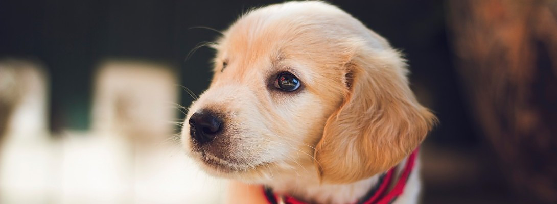 Current Blog Adventure