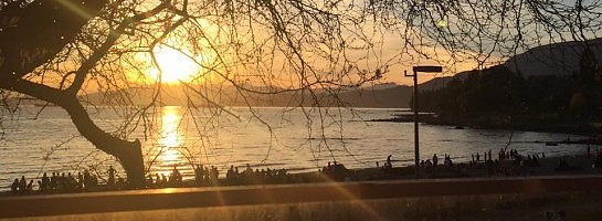 I just went Premium!