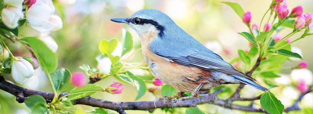 Just wanted to introduce myself