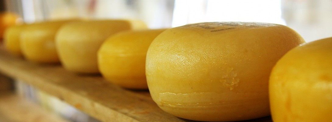 Making My Voyage A Golden One