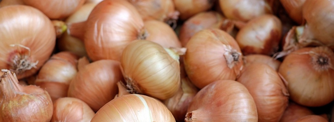 Wealthy Affiliate Has Taught Me How to Peel Onions