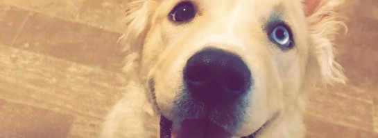 At the 2 month mark - I feel like a toddler