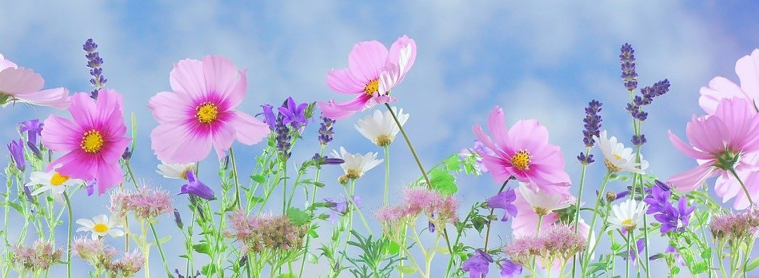 For Today and For You!