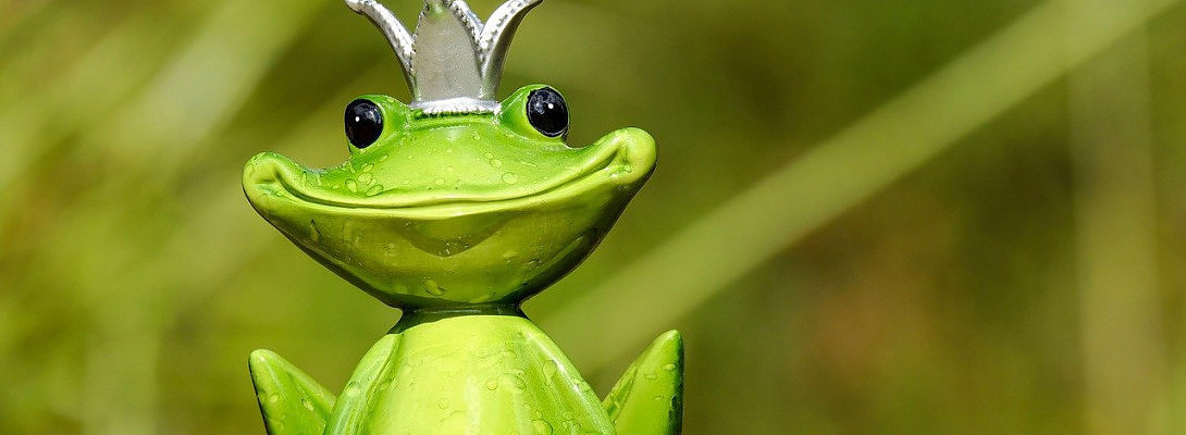 I Thought I Didnt Care About WA Ranking, Back In Top 200!